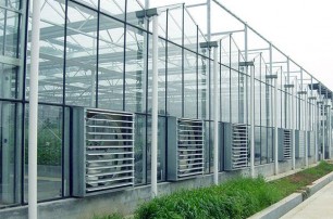 Soil Fertility Techniques and Methods in Guoxing Greenhouse