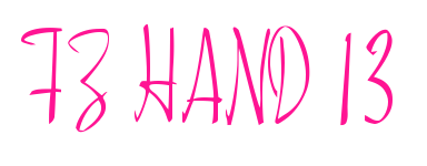 FZ HAND 13預覽圖片