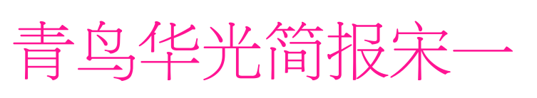 青鳥華光簡(jiǎn)報(bào)宋一預(yù)覽圖片